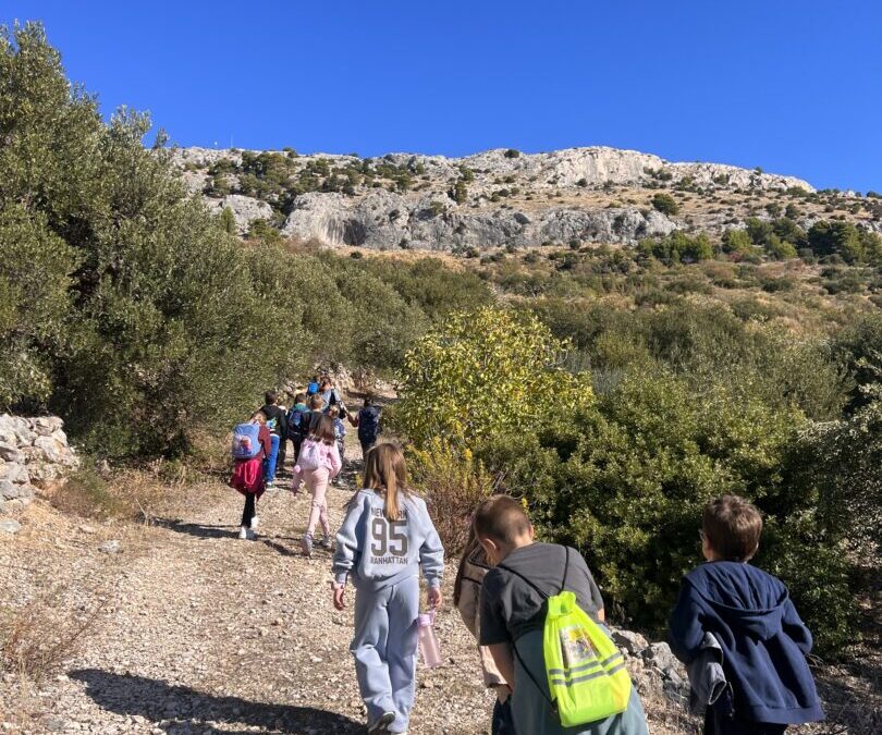 Međunarodni dan pješačenja