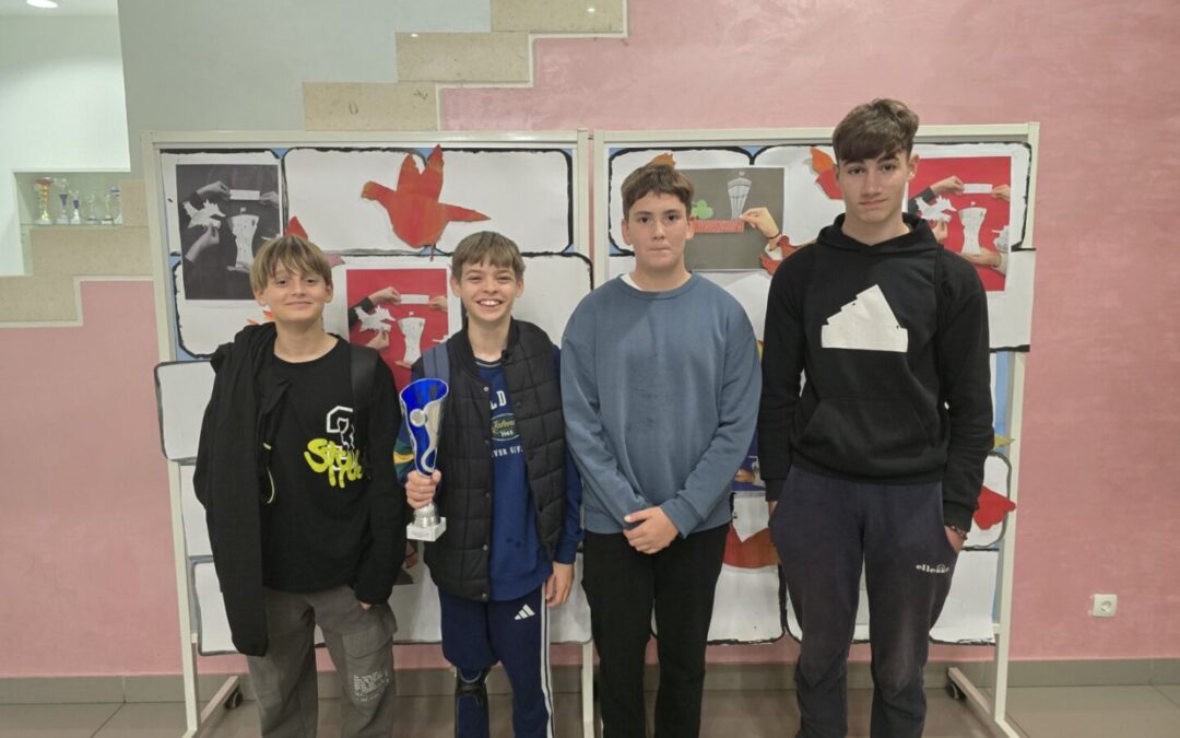 Županijsko natjecanje u šahu